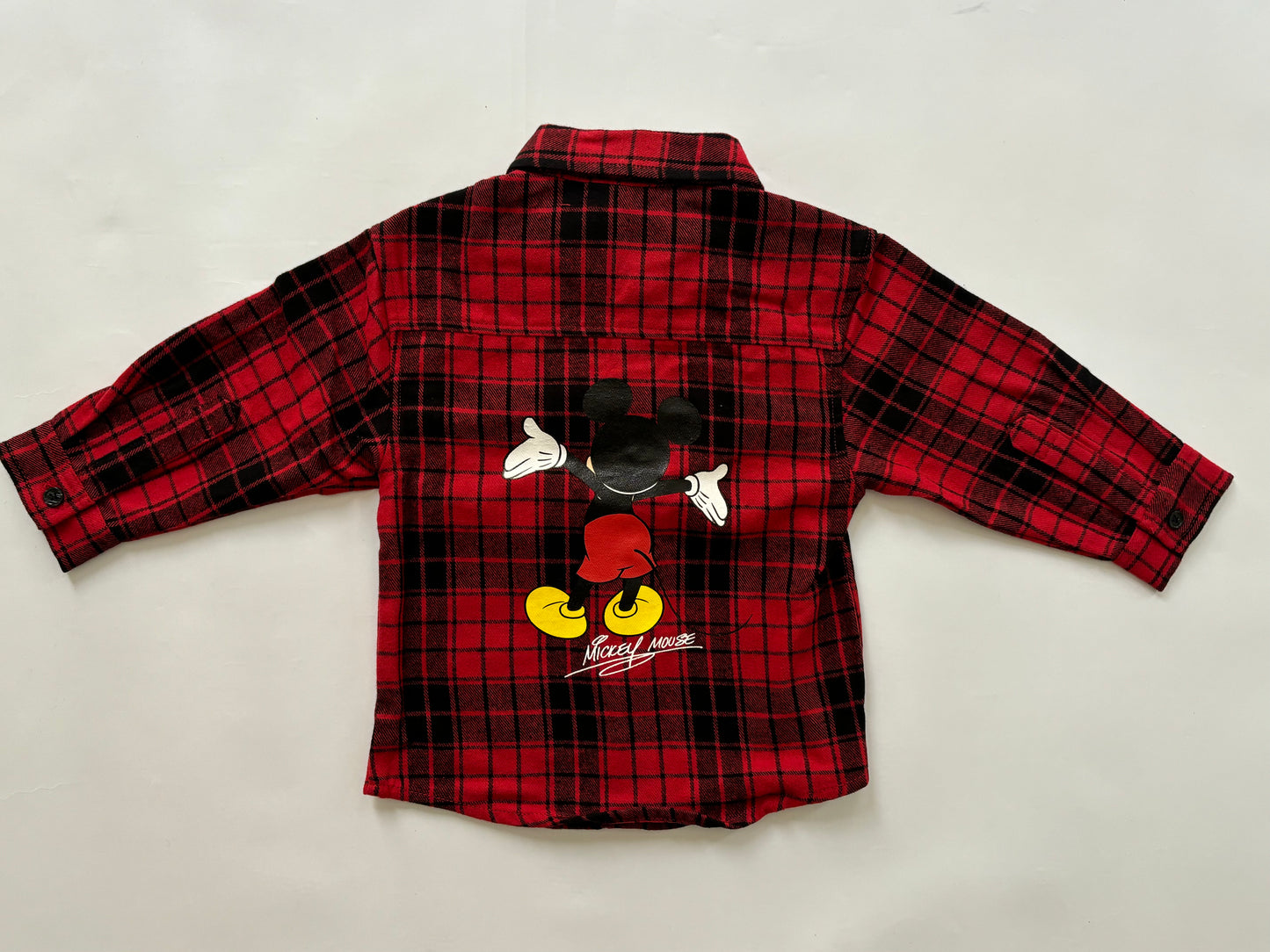 Mickey Flannel